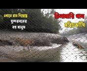 Sundarban Oli Goli