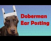 The Doberman Way