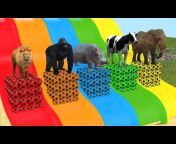 3D Animals Animation