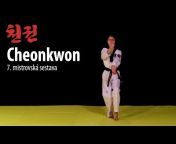 Sejong Taekwondo Dojang