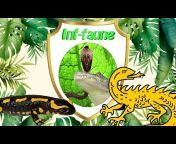 INF FAUNE