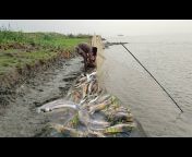 SAJIB&#39;S DAILY FISHING LIFE