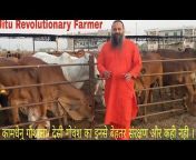 Jitu Revolutionary Farmer
