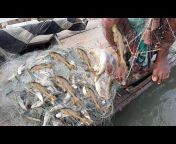 BD FISHING BARISAL
