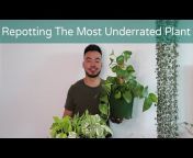 Crazy Plant Guy