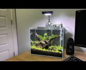 The Planted Tank