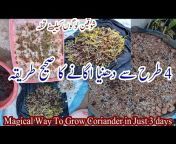 Gardening with Dilshad Rind