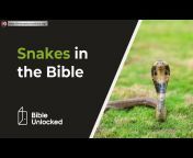 The Bible Channel - Discover the Bible!