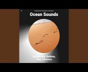 Sea Waves Sounds - Topic
