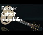 N.K. Forster Guitars
