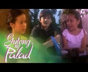 ABS-CBN Teleseryes on TFC