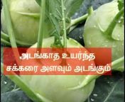 INDIAN TAMIL FOOD CHANNEL