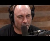 JRE Clips