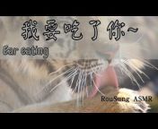 肉鬆 ASMR / Rousung ASMR