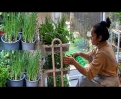 Grow your Vegetable Kitchen