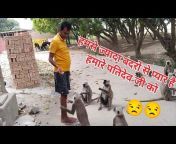 Nitu Singh Vlogs