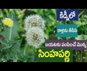 Plants TV Telugu