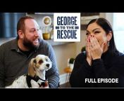 George To The Rescue