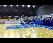 WheelGymnastics Sport