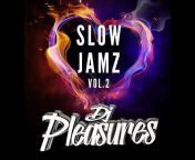 DJ Pleasures