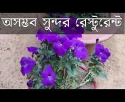 Nature Vlog Sylhet
