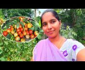 saritha family vlogs 143
