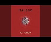 Malego - Topic