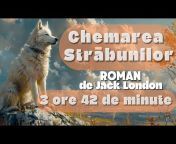 Povesti Audio Romania