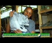 DELIGHT Rabbit Farm TV