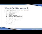 Learn SAP Integration