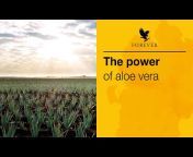 Forever Living Products UK