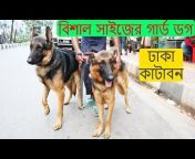 Dhaka Vlogs