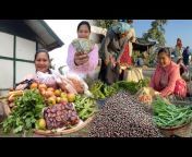 Priyanka Organic Vlogs