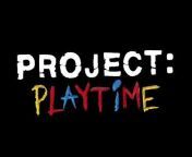 Project : Playtime