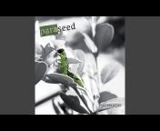 Paraseed - Topic