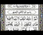Qari international Quran recitation 3mp