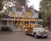 All About the Waltons