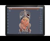 Primal Pictures 3D Anatomy u0026 Physiology