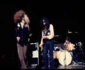 Led Zeppelin Concert Footage