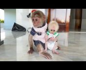 Baby Monkey SinSin