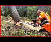 Finnish Lumberjack
