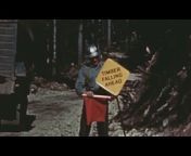 Daniel Boone&#39;s Logging videos