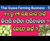 Odisha Commercial Farming