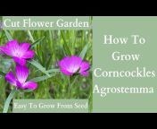 Cloudberry Flowers - Flower Farm and Garden