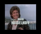 Hoff Crazy David Hasselhoff