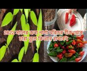 Bangladeshi Sylheti Vlog Uk