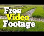 Free Video Footage HD