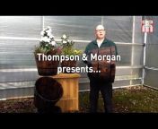 Thompson u0026 Morgan TV