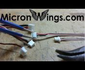 Micron Wings