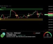Forex Education Live